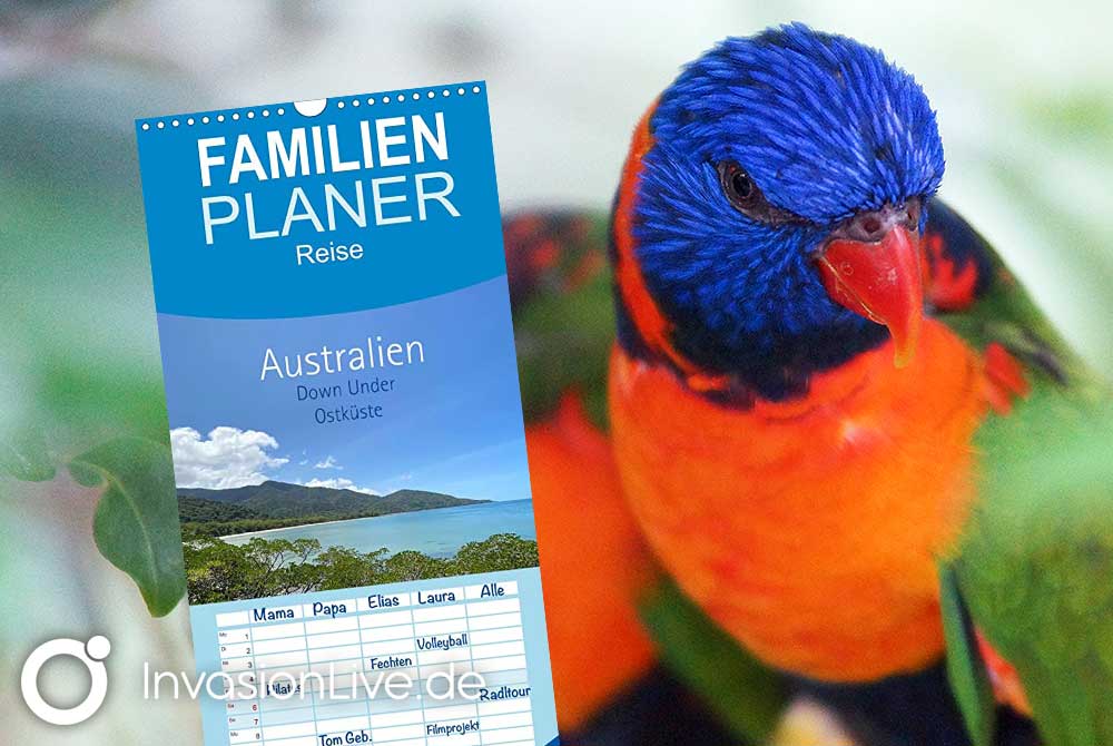 Familienplaner Kalender mit Ausschnitt Papagei